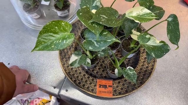 Moje nowe zdobycze z marketów! NETTO, OBI i prawie z Biedronki😜 oraz nowości w OBI смотреть онлайн