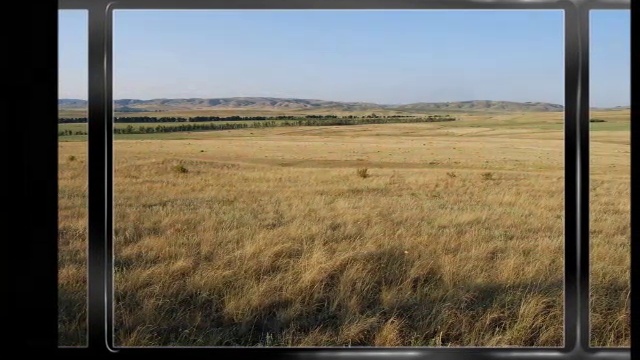 Алые сны Казахстана смотреть онлайн