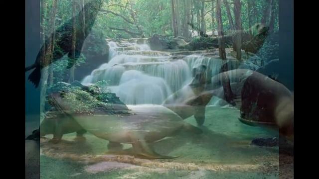 Фото природы (под музыку) смотреть онлайн