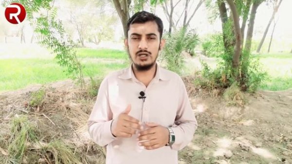 Web Designing Language | Web Development Language | Basic Difference between HTML CSS JavaScript PH