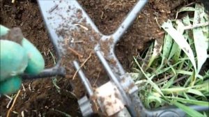 КЛАДОИСКАТЕЛИ СИБИРИ