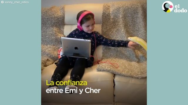 La mejor amiga de esta niña es una pitón de casi 5 metros I El Dodo смотреть онлайн