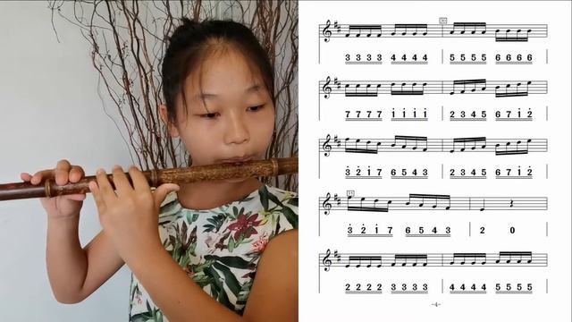D key dizi flute- Double tonguing technique practice D调竹笛《练习曲 双吐》全按作5 边看谱边练习 @Dan Tang смотреть онлайн