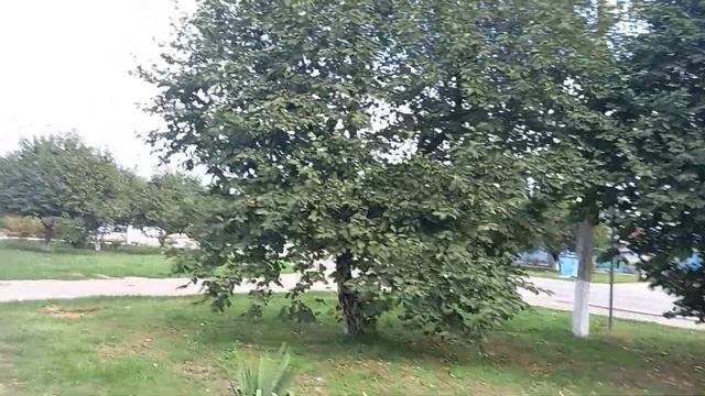 Улица Красная, школа  N13 . Станица Ленинградская.