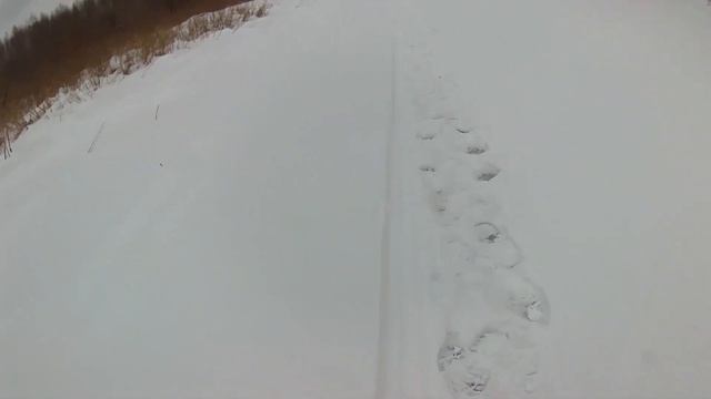 Щука на живца зимой в январе, жуткий клев, устал тащить улов домой. Трофейная щука. смотреть онлайн