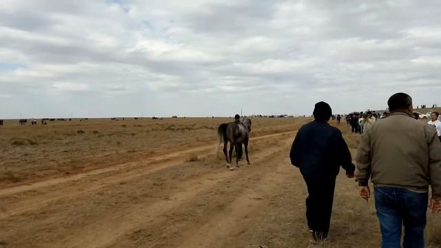Скачки смотреть онлайн