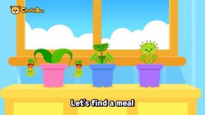 The Monster plants Song | Venus Flytrap Sundew | Nursery rhymes | Kids song | #Cheetahboo
