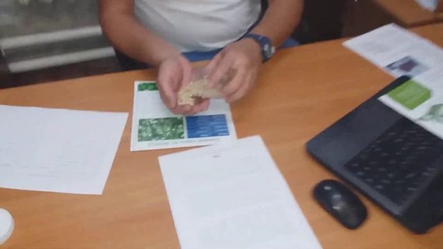 Семена озимого гороха НС МОРОЗ. Сербский сорт урожайного озимого гороха НС МОРОЗ Нови Сад.