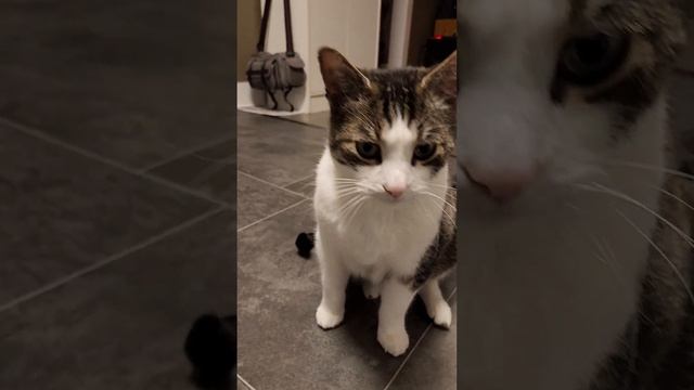 Mr. Manderson wants soup. смотреть онлайн