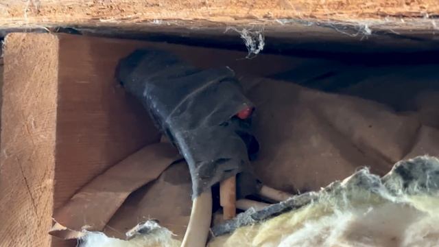 The Horrors Lurking Inside My Old Workshop смотреть онлайн