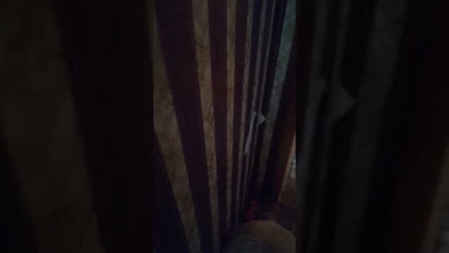 Как искупать собаку смотреть онлайн