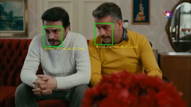 Facial Image Analysis Framework based Deep Learning смотреть онлайн
