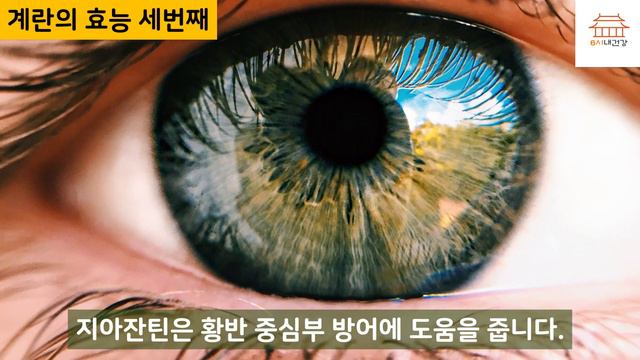 계란 그냥 먹지 마세요! 달걀은 이것과 함께 먹어야 눈이 밝아지고 치매가 없어져요. смотреть онлайн