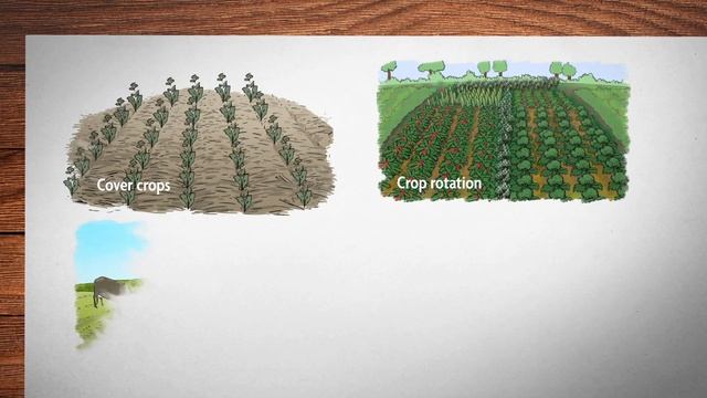 What is Sustainable Agriculture? Episode 1: A Whole-Farm Approach to Sustainability смотреть онлайн