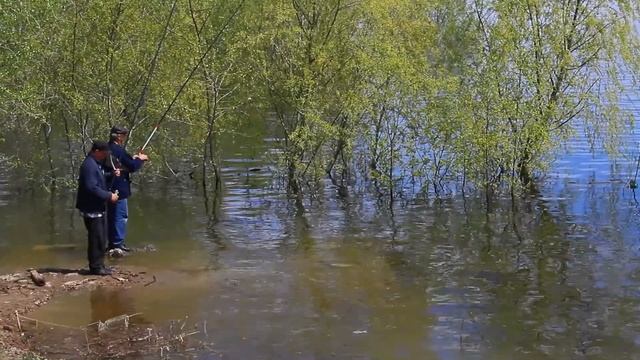 Весенняя рыбалка по большой воде на Волге смотреть онлайн