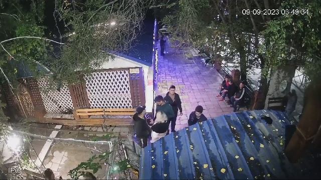 Шакалы в городе (Оренбург) смотреть онлайн