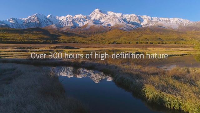 Wild Nature Promo смотреть онлайн