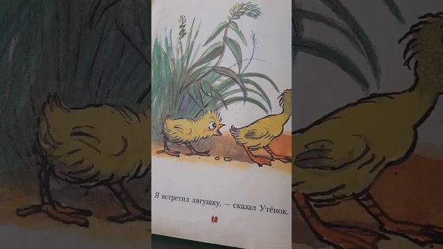 ЦЫПЛЁНОК И УТЁНОК В.Сутеев