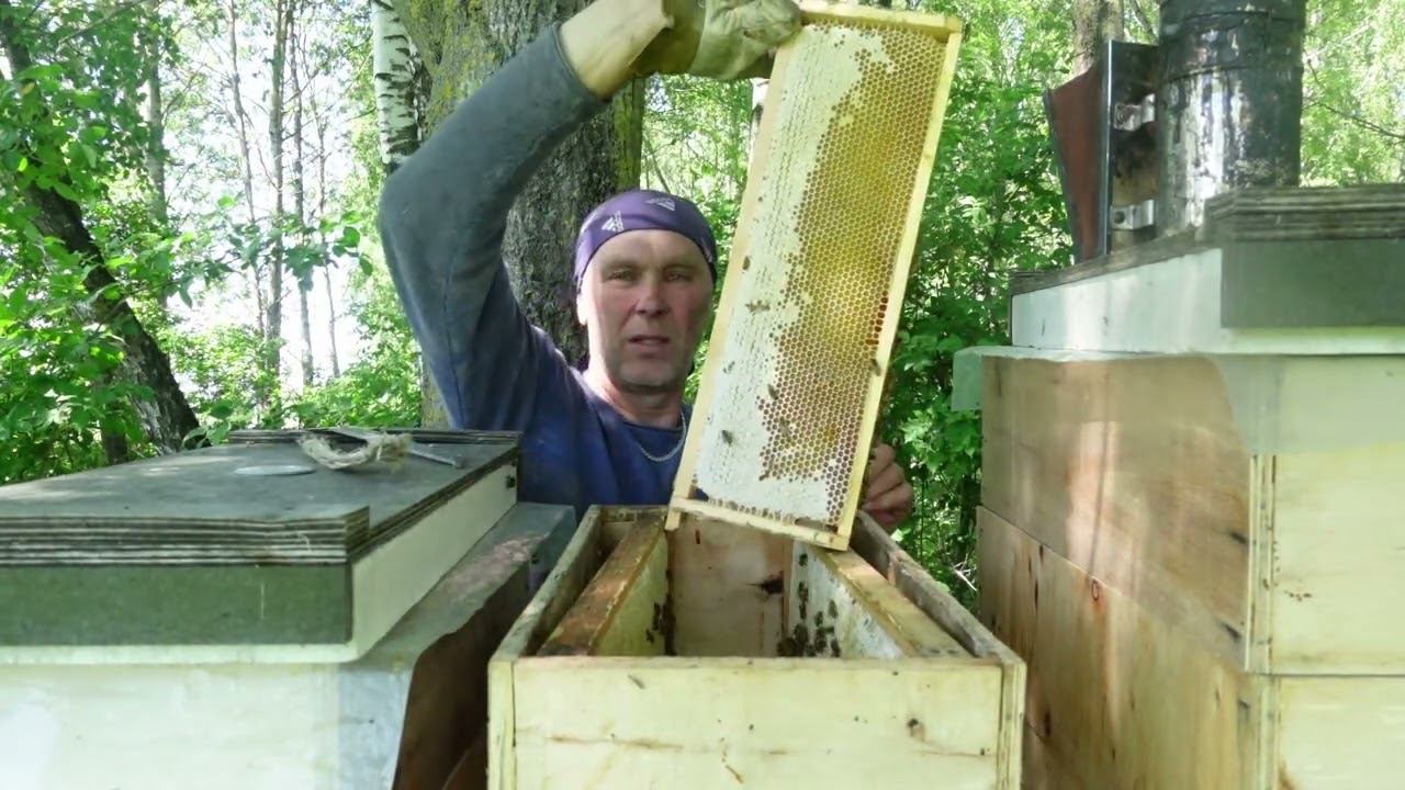 откачка апрельского меда смотреть онлайн