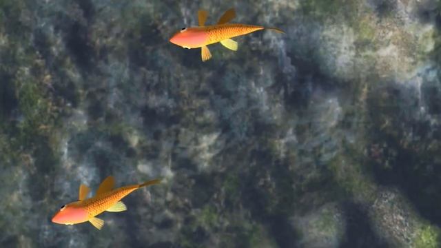 GAMES FOR CATS ★ CATCH FISH games on screen смотреть онлайн