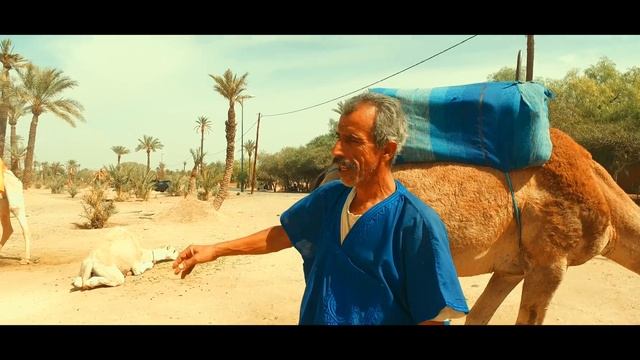 Marrakech 4K смотреть онлайн