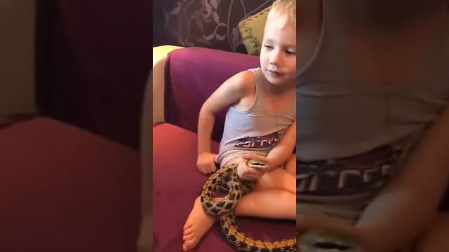 Мини заклинатель змей смотреть онлайн