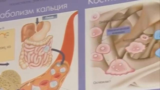 Уникальная процедура для костей смотреть онлайн