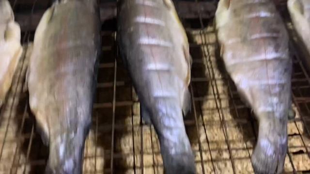 Цирковые Представления и Шоу