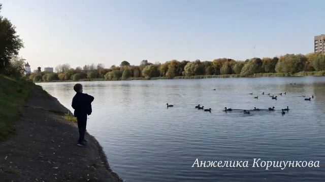 Обзор Измайловский Остров , усадьба смотреть онлайн