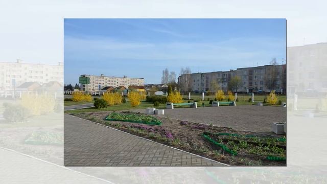 Территория школы Когда цвётёт форзиция