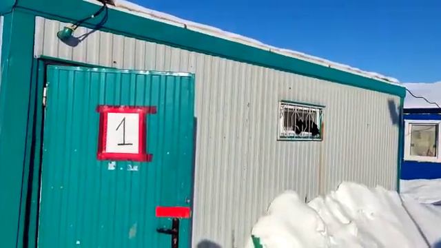 Чукотка 08.03.22 смотреть онлайн