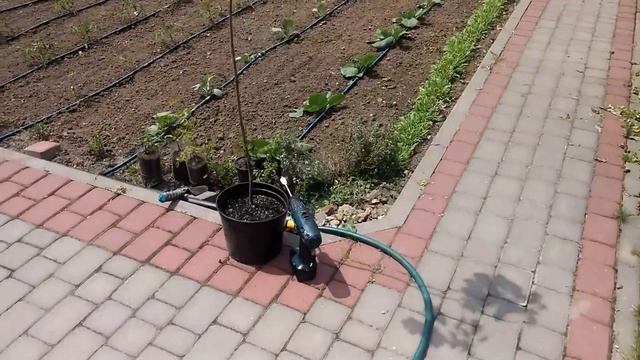 Обзор системы капельного полива для грядки. смотреть онлайн