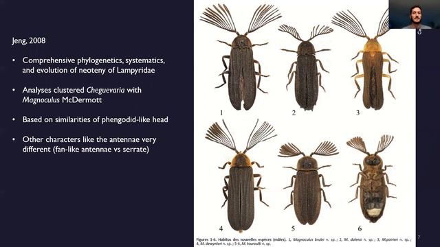 Oliver Keller - The Cheguevaria Enigma: An Amazing Firefly Lineage from the West Indies смотреть онлайн