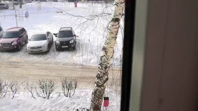 собаки Сабирзянова 16 смотреть онлайн