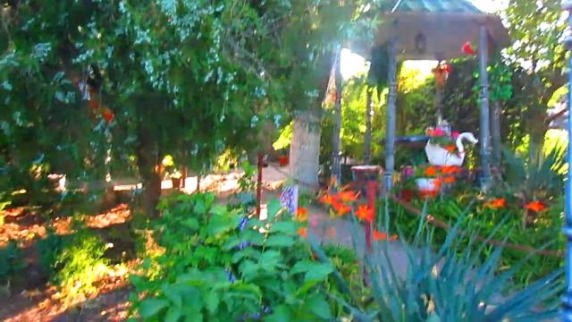 Субтропический сад Молдова смотреть онлайн