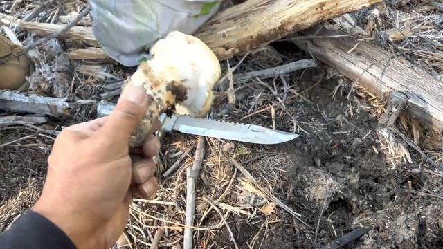 How to find Matsutake season 2022 with friends! смотреть онлайн