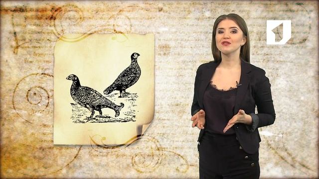 Утро. Lite / Говорим по-русски: глухая тетеря смотреть онлайн