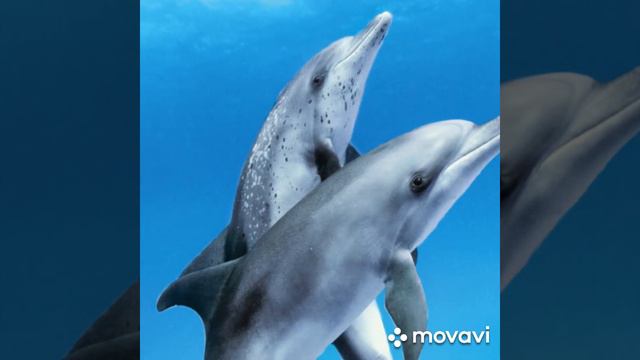 Поездка на отдых город Израиль смотреть онлайн