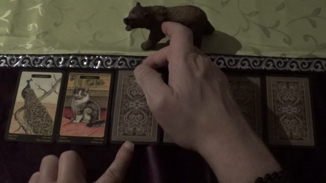 Oracle Draw for 25.01.-07.02.2021 (Gypsy Oracle Cards, ASMR-style) смотреть онлайн