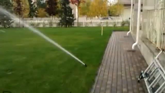 Полив газона 2