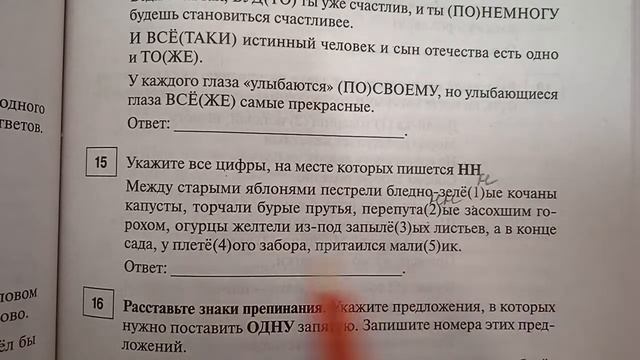 15 ЗАДАНИЕ ЕГЭ (вариант №2) по русскому языку смотреть онлайн