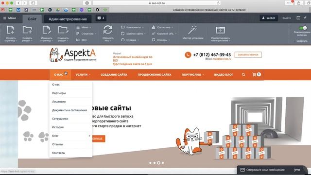 Админка 1С БИТРИКС Как выглядит внутри? Принципы управления. смотреть онлайн