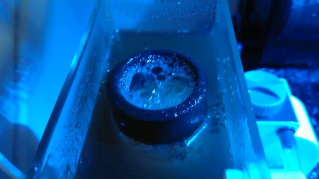 Mirco Aqua M-50 Protein Skimmer Review Part 2 смотреть онлайн