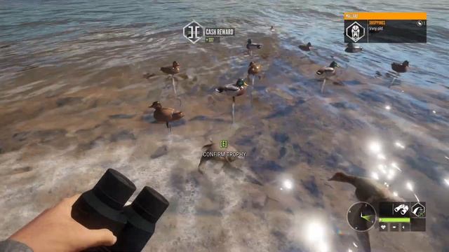 Did They Fix Duck Hunting!? | theHunter: Call Of The Wild смотреть онлайн