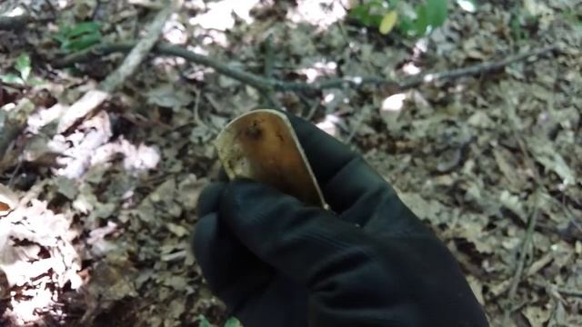 НАШЕЛ ТАЙНУ ВЕРМАХТА!!! НЕМЕЦКИЙ СЕРЕБРЯНЫЙ КУЛОН! В Поисках Клада и Сокровищ смотреть онлайн