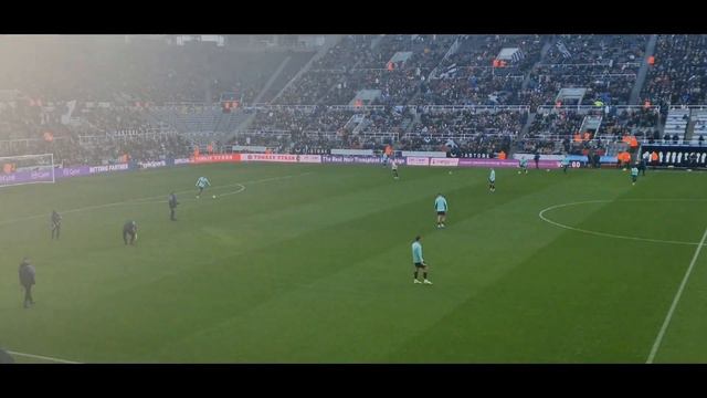 newcastle v rayo vallecano pre match flags! 35000 for a friendly!! #nufc @NUFC смотреть онлайн