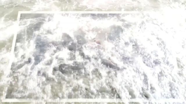 Сонет "Что такое любовь?" смотреть онлайн