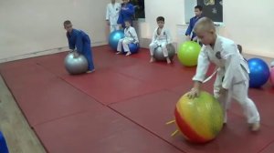 Фитбол в тренировке дзюдоистов.