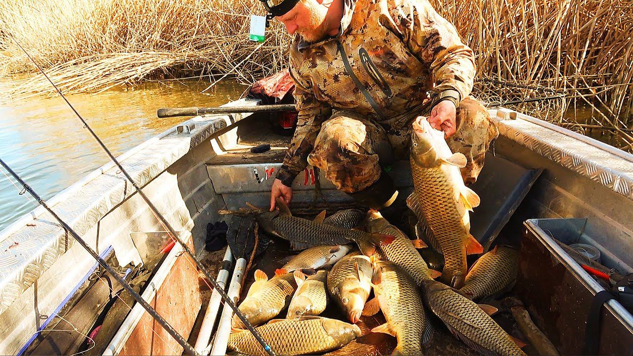 БЕШЕНЫЙ КЛЁВ САЗАНА. УДОЧКУ ВЫРЫВАЕТ ИЗ РУК. ПОЛНАЯ ЛОДКА РЫБЫ. Вот это рыбалка на донку. смотреть онлайн