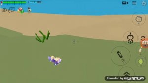 Все пасхалки из нового обновление в чикен ган!!!